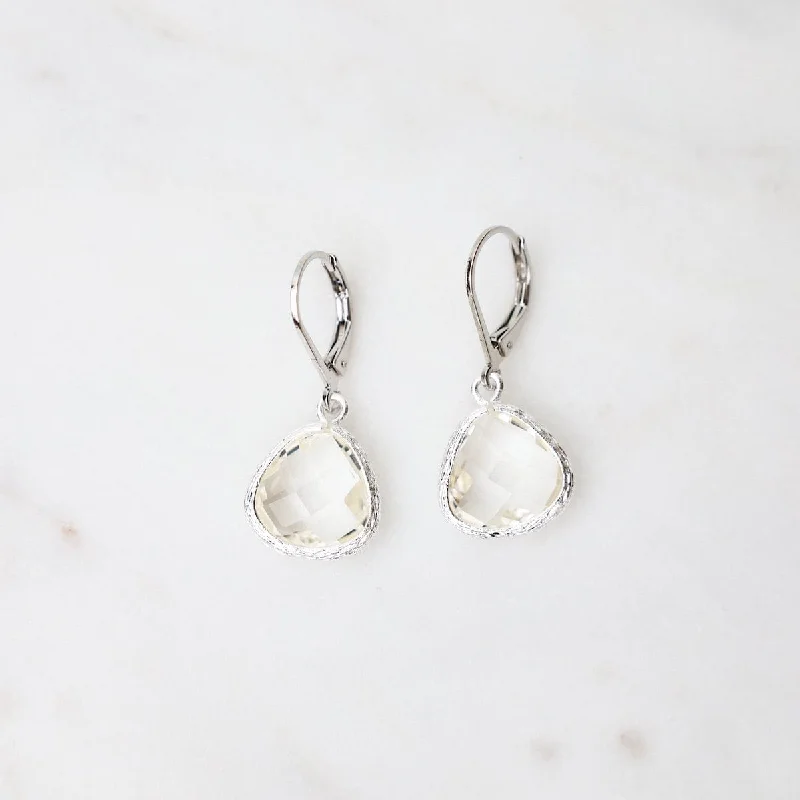 Women’s classy stud earrings-Sterling Silver Clear Crystal Lever Back Earrings